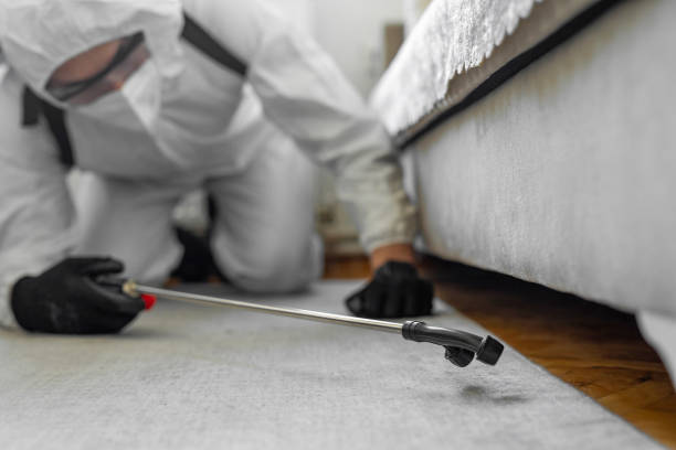 Professional Bed Bug Control technician working in Level Park-Oak Park, MI