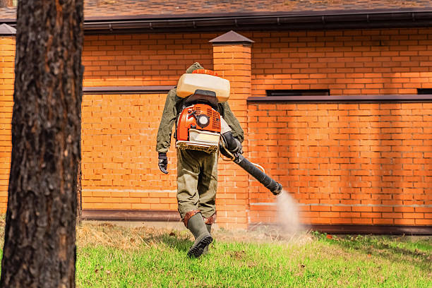 Trusted Bed Bug Control service in Level Park-Oak Park, MI - Nex Pest Control